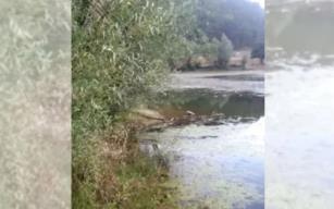 Köylülerden örnek davranış...