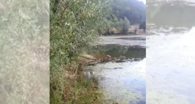 Köylülerden örnek davranış...