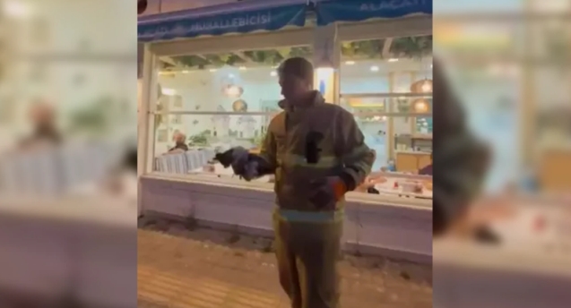 Araca sıkışan kediyi itfaiye kurtardı...