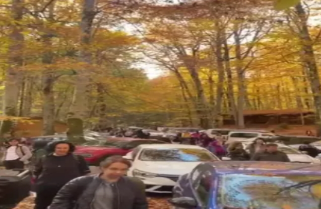 Yedigöller Milli Parkı, ziyaretçiler ile dolup taştı…