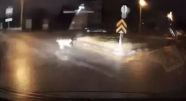 Köpeklerin kovaladığı kişiyi aracına alarak kurtardı...