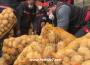Zonguldak'ta patates-soğan dağıtımı başladı