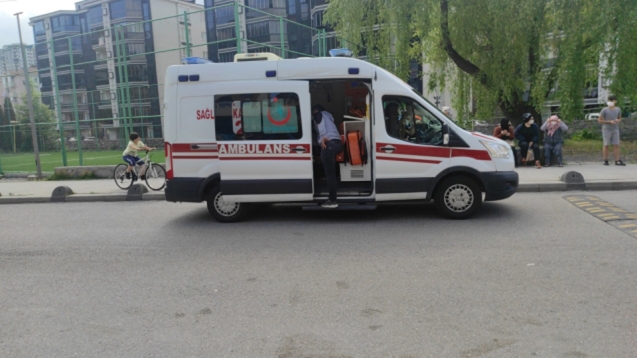 Çocuğun kışkırttığı köpek hastanelik etti...