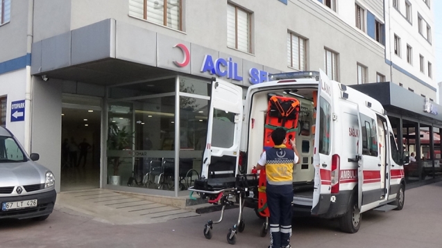 Ağaçtan düştü, hastanelik oldu...