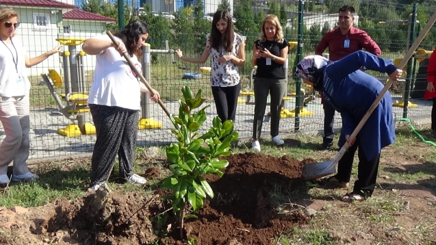 RUH SAĞLIĞI HAFTASI' NDA 90 ADET FİDAN DİKTİLER...