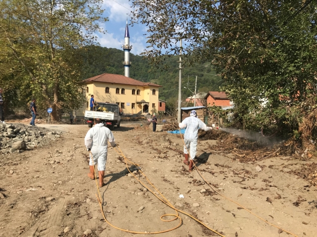 GÜNEŞLİ’DE SEL SONRASI İLAÇLAMA YAPILDI
