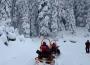 JAK timinden karla kaplı ormanda zorlu tatbikat...
