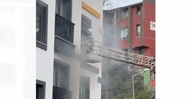 Çıkan yangında Hayvanlar ve insanlar alevler arasında kaldı
