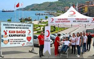 Galericiler sitesinden kampanyaya davet…