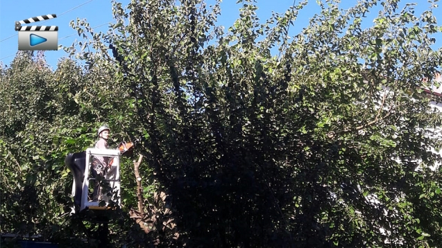 TELLER KISA DEVRE YAPTI... 1 KİŞİ YARALANDI...