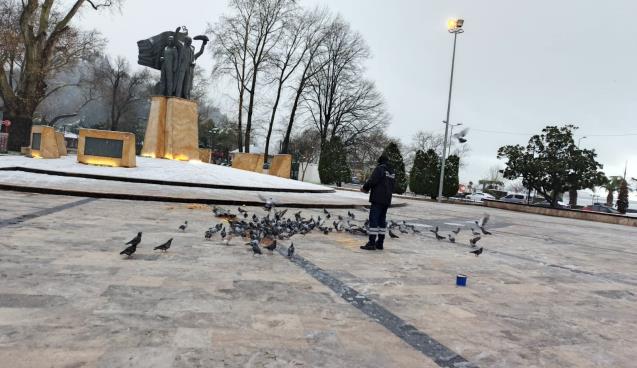 Kdz. Ereğli Belediyesi sokak hayvanlarına sahip çıkıyor...