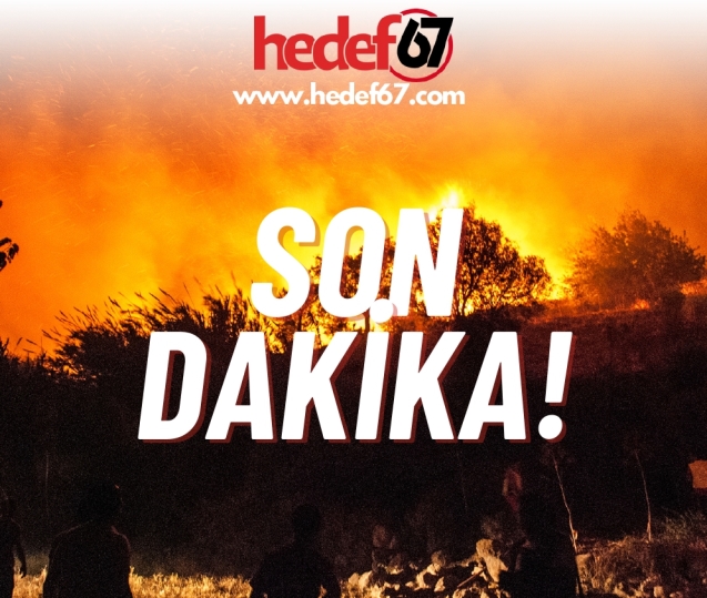 Ormanlık alanda yangın... Ekipler olay yerinde...