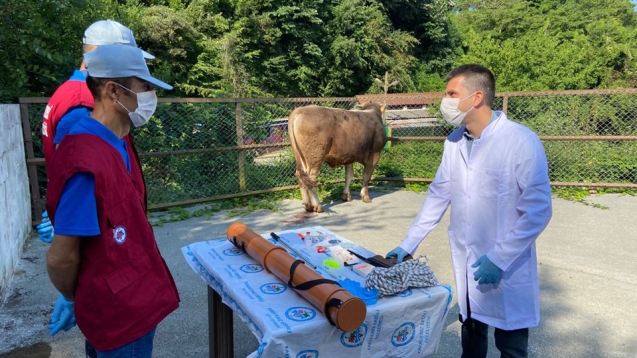 BELEDİYENİN KURBAN YAKALAMA TİMİ GÖREVE HAZIR