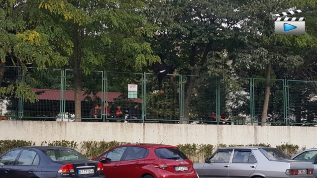 BUNUN HESABINI KİM VERECEK...