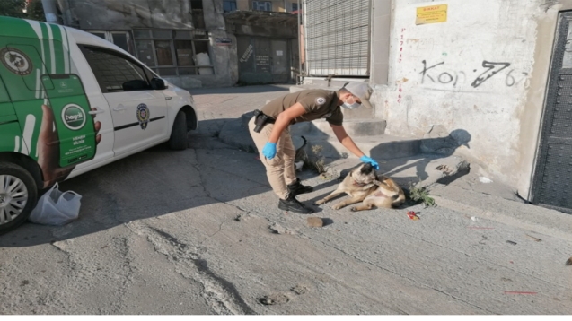 Polis sokak hayvanlarını unutmadı...