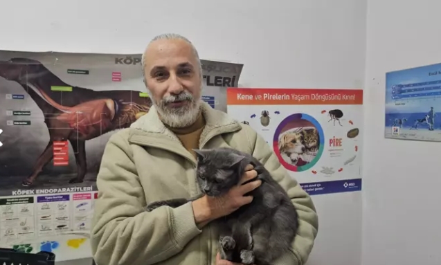 Kediye altından diş yapıldı...