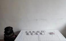 Bolu’da u*uşturucu operasyonu: 3 tutuklama