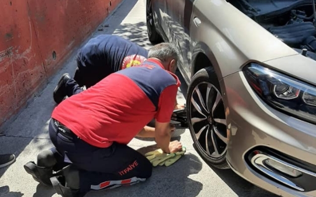 Otomobilin motor kısmına sıkıştı...