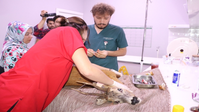 İKİNCİ VAKA GÜMELİ BELDESİNDE MEYDANA GELDİ…