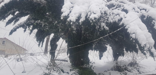 Muhtar BEDAŞ'a isyan etti...