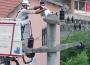 Elektrik direğinde telef oldu...