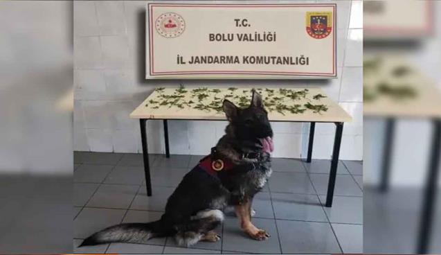 K*nevir operasyonu: 3 tutuklama