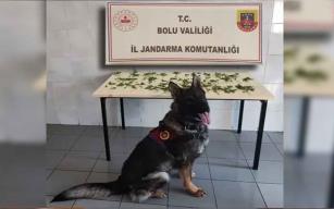 K*nevir operasyonu: 3 tutuklama