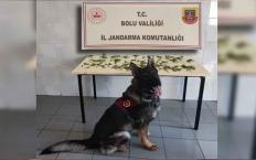 K*nevir operasyonu: 3 tutuklama