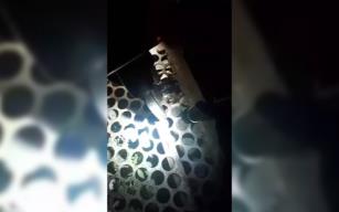 Kurtarılan yavru kediye 'Mazgal' adı verildi...
