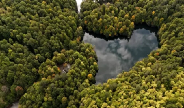 Sonbaharın farklı tonları görüntülendi...