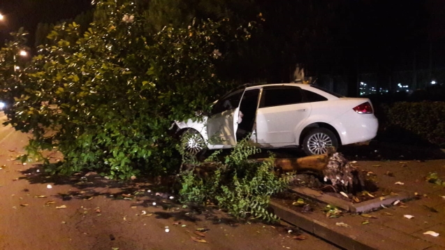 Ağacı devirdi, otomobili pert etti…