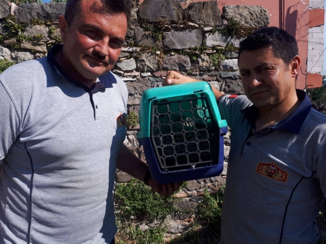 Havalandırma boşluğundan çıkarıldı…