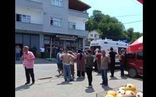 Arı sokması sonucu yoğun bakıma kaldırıldı…