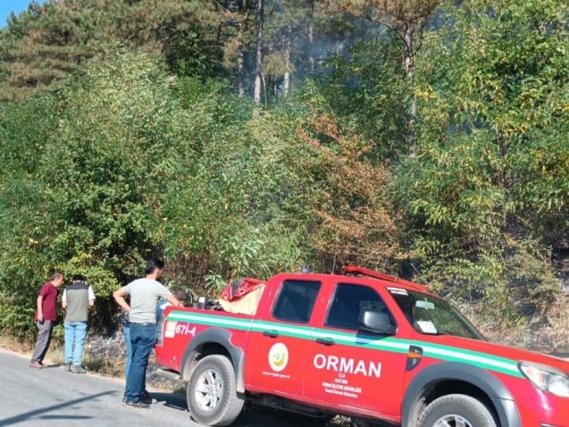 Tolfanlı köyünde orman yangını...
