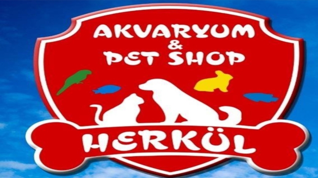 ELEMAN ARANIYOR...