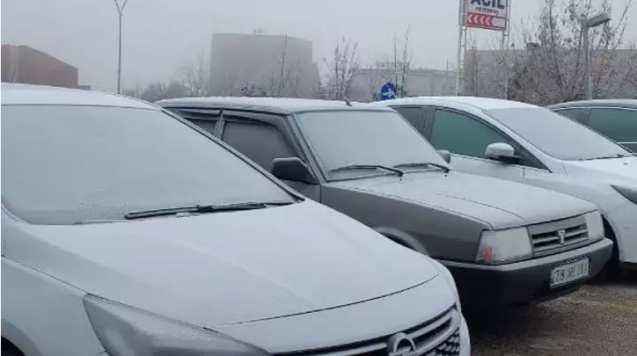 Bolu’da soğuk hava nedeniyle ağaçlar dondu...