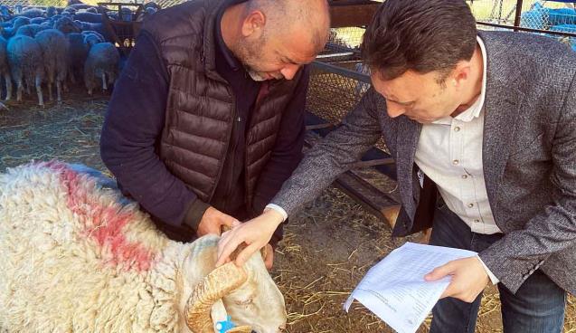 Pazar denetlendi, kurban yakalama timi kuruldu…