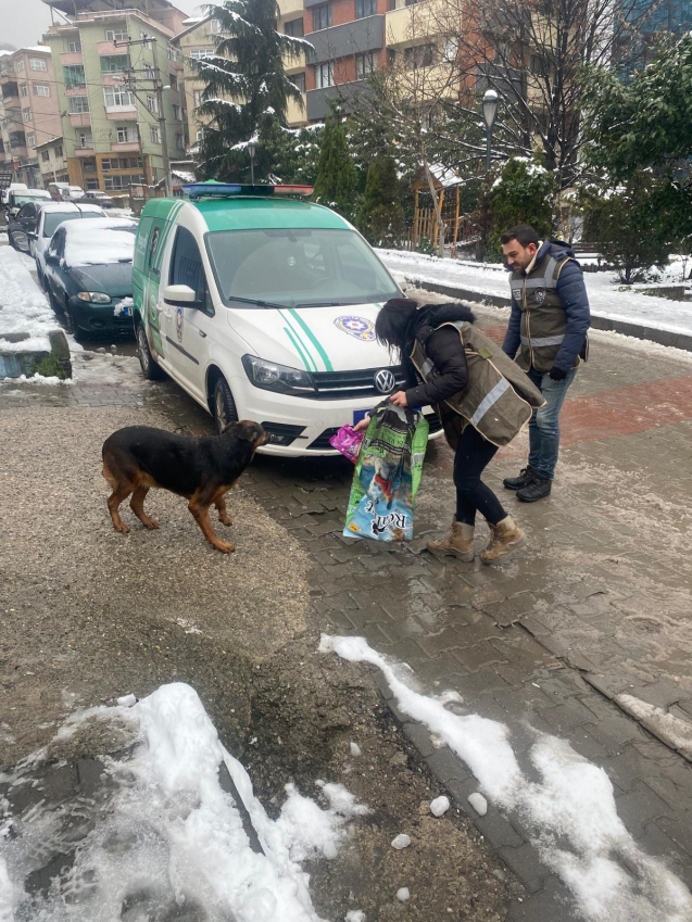 'HAYDİ' sokak hayvanlarını yalnız bırakmadı...