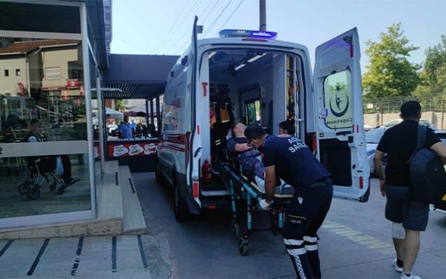Arının soktuğu, kadın hastanelik oldu...