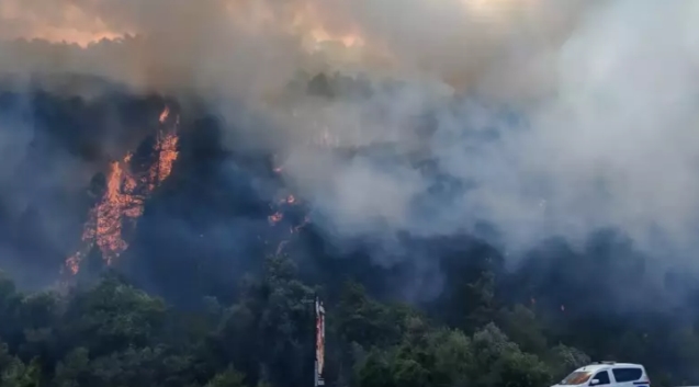 Bolu'da orman yangını...