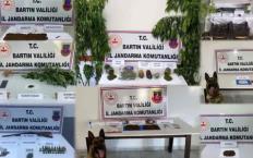 U*uşturucu operasyonu: 16 gözaltı
