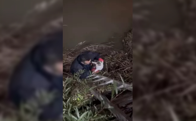 1 Ayda 3'üncü kez kurtarıldı...