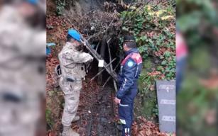 Polis ve Jandarmadan operasyon... İmha edildi...