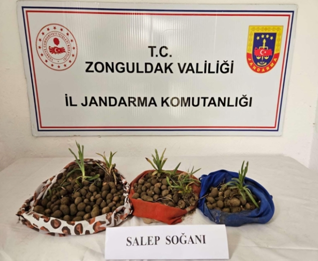 Yasaklanan bitkiyi topladılar...2 kişi yakalandı...