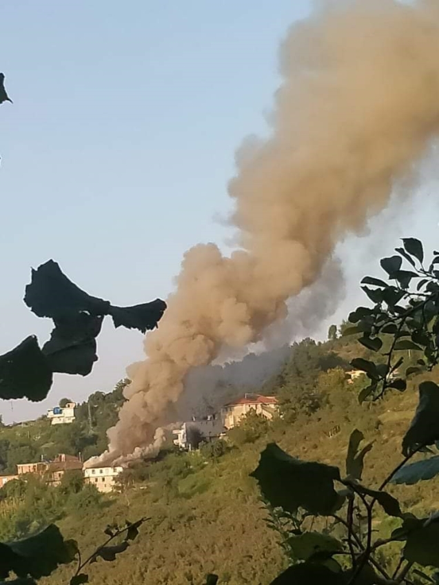Alaplı'da yine yangın...