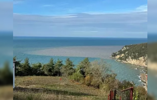 Çamurlu su, denizin rengini değiştirdi.