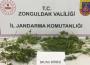 Eş zamanlı operasyonla skunk ele geçirildi