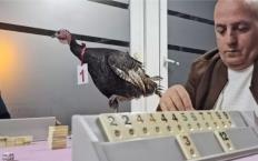 48 yıllık gelenek bozulmadı... ‘Baba hindi’ turnuvası...