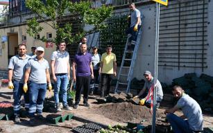 KDZ. EREĞLİ ÇİÇEK GİBİ OLUYOR...