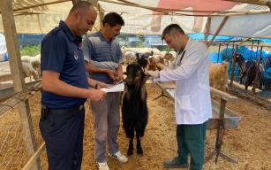 Belediye kurban pazarını denetledi…